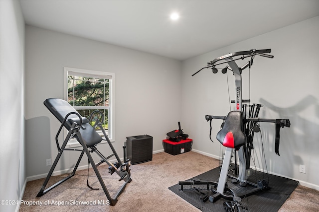 29 Bear Trl, Aspen, CO 81611 - photo 19