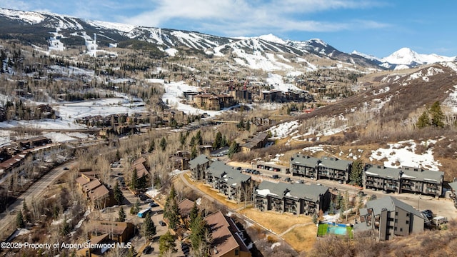 55 Upper Woodbridge Rd Unit H-5, Snowmass Village, CO 81615 - view of mountain background