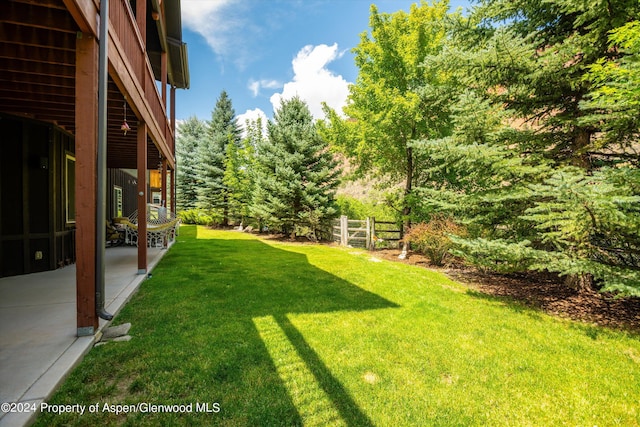 view of yard with a patio