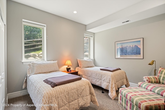 bedroom with carpet and multiple windows