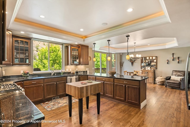 kitchen with dishwasher, sink, wood-type flooring, decorative light fixtures, and a tray ceiling