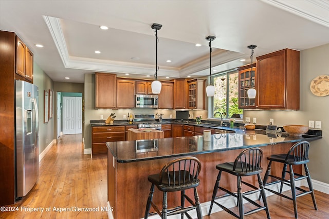 kitchen featuring pendant lighting, kitchen peninsula, stainless steel appliances, and a tray ceiling