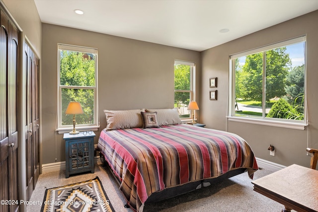 bedroom featuring multiple windows, a closet, and carpet