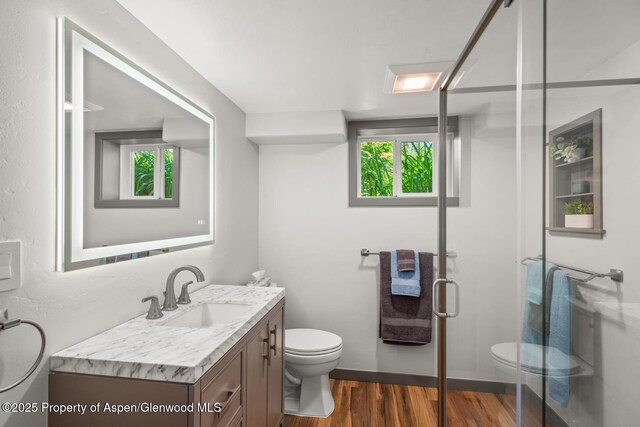 bathroom with vanity, a shower stall, toilet, and wood finished floors