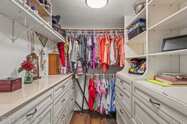 spacious closet with dark wood-style flooring