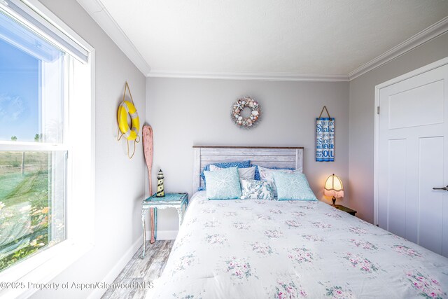 10155 6400th Rd, Montrose, CO 81401 - bedroom with baseboards, wood finished floors, and crown molding