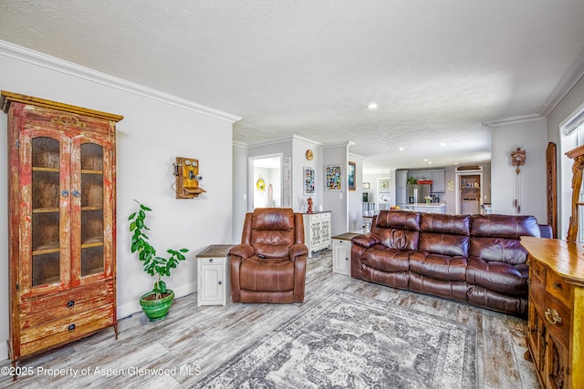 10155 6400th Rd, Montrose, CO 81401 - living room with crown molding, a textured ceiling, and wood finished floors