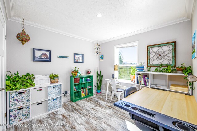 10155 6400th Rd, Montrose, CO 81401 - playroom featuring a textured ceiling, baseboards, crown molding, and wood finished floors