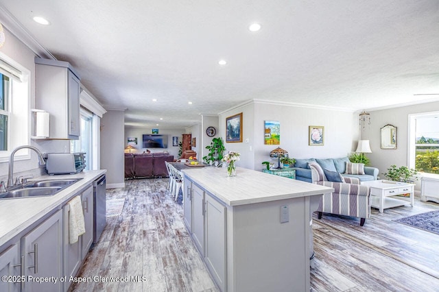 10155 6400th Rd, Montrose, CO 81401 - kitchen with open floor plan, light countertops, a sink, and dishwasher