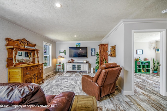 10155 6400th Rd, Montrose, CO 81401 - living area with ornamental molding, a textured ceiling, baseboards, and wood finished floors