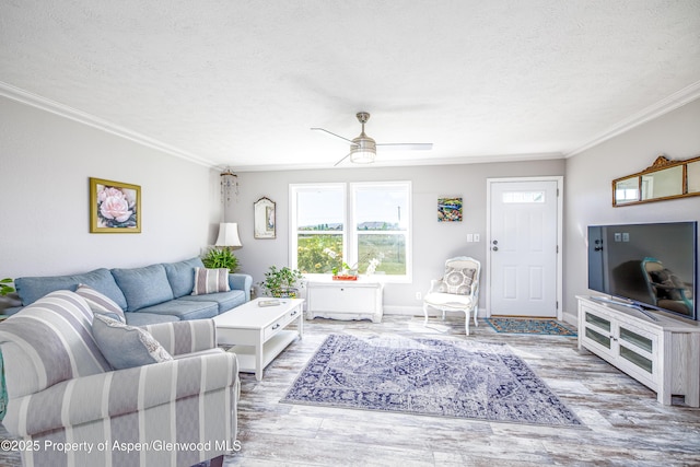 10155 6400th Rd, Montrose, CO 81401 - living room with baseboards, ornamental molding, a textured ceiling, and wood finished floors