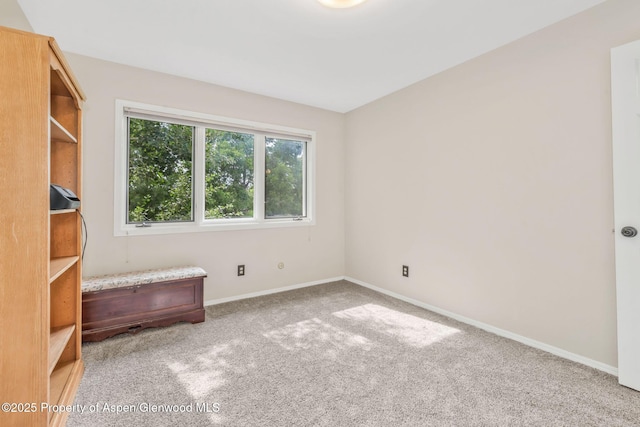 908 Ridge Rd, Craig, CO 81625 - photo 35