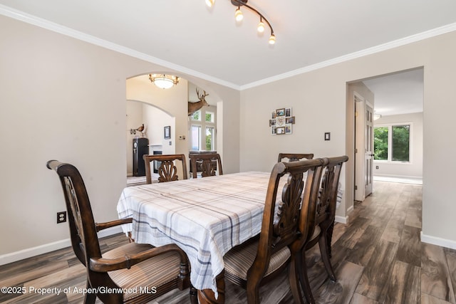 908 Ridge Rd, Craig, CO 81625 - photo 14