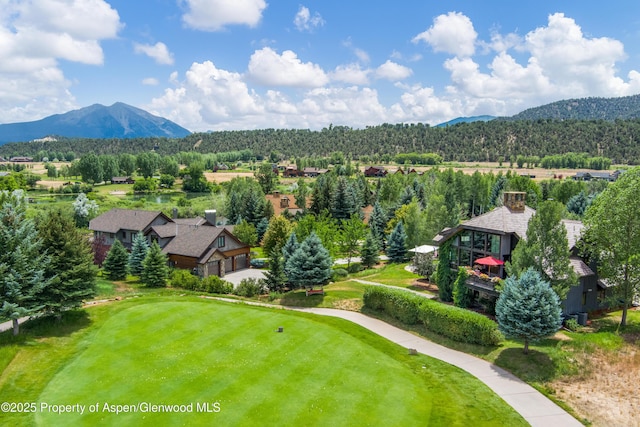 268 Rivers Bnd, Carbondale, CO 81623 - photo 12