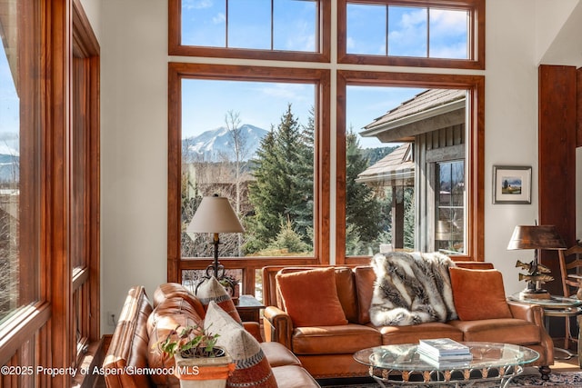 268 Rivers Bnd, Carbondale, CO 81623 - photo 32