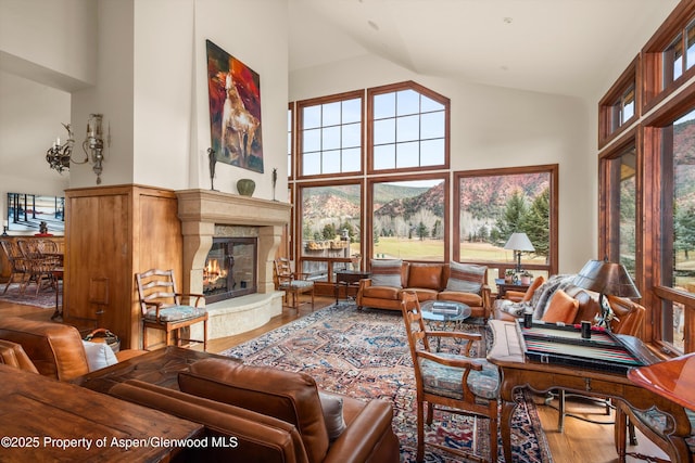 living area with a premium fireplace, a mountain view, high vaulted ceiling, and wood finished floors