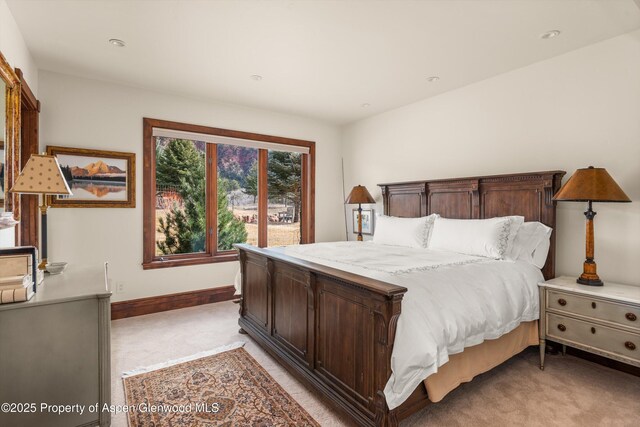 268 Rivers Bnd, Carbondale, CO 81623 - photo 46