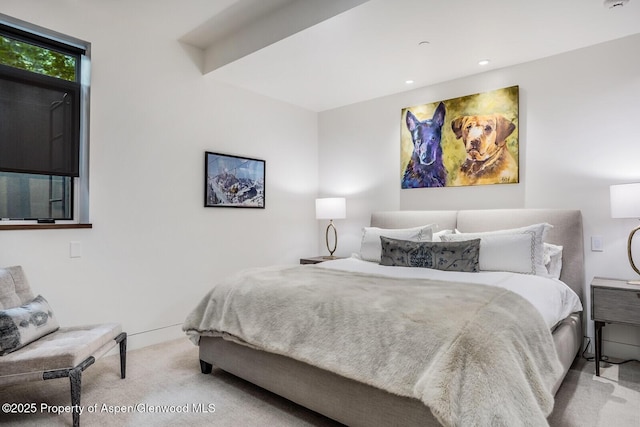 130 Primrose Path, Aspen, CO 81611 - photo 48