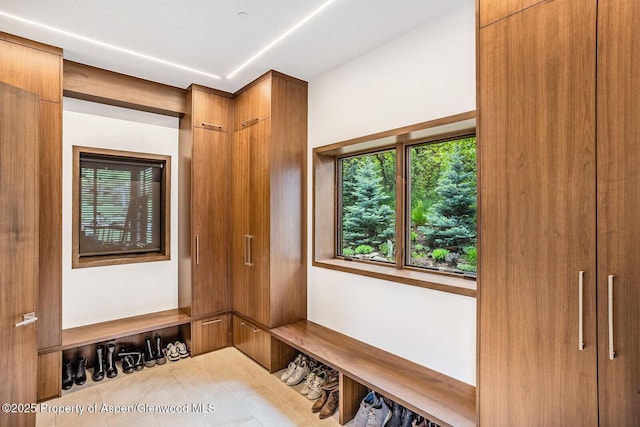 130 Primrose Path, Aspen, CO 81611 - photo 63