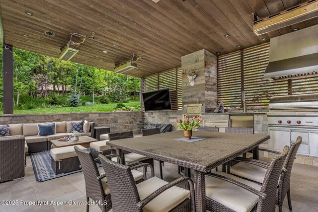 130 Primrose Path, Aspen, CO 81611 - photo 73