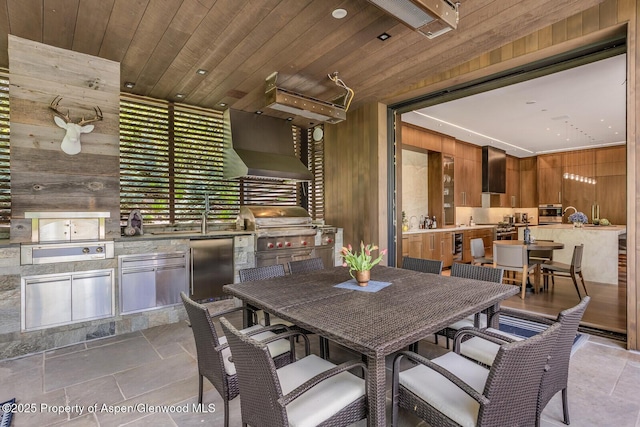 130 Primrose Path, Aspen, CO 81611 - photo 80
