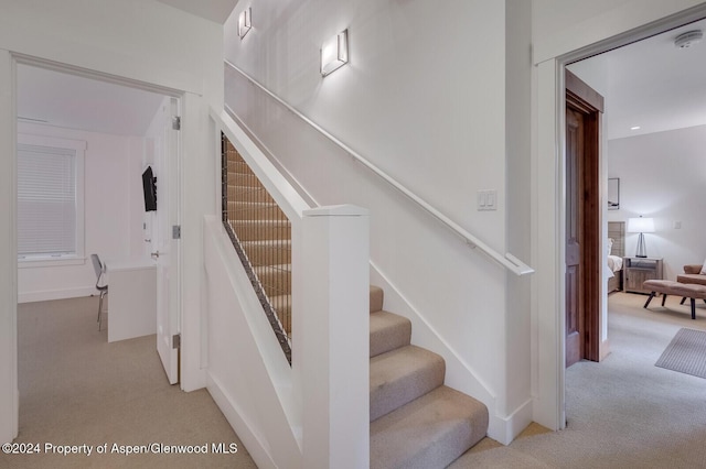 staircase with carpet