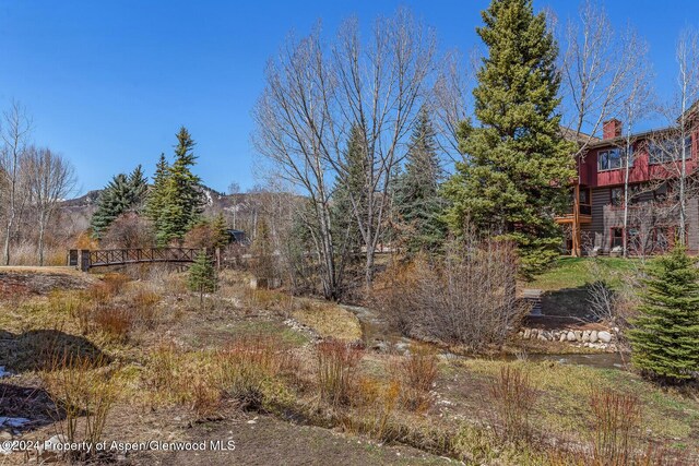 view of yard featuring a mountain view