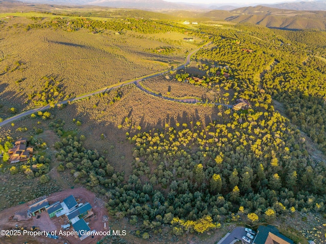 125 Primrose Pt, Glenwood Springs, CO 81601 - photo 12