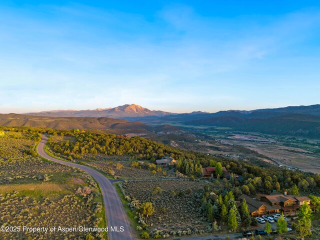 125 Primrose Pt, Glenwood Springs, CO 81601 - photo 11