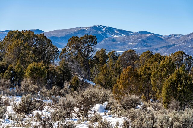 125 Primrose Pt, Glenwood Springs, CO 81601 - photo 22