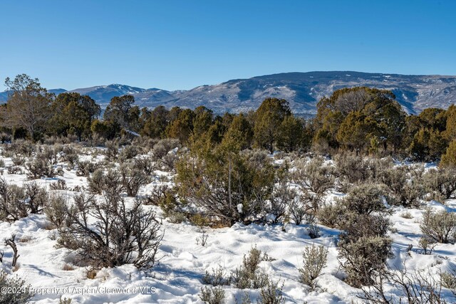 125 Primrose Pt, Glenwood Springs, CO 81601 - photo 15