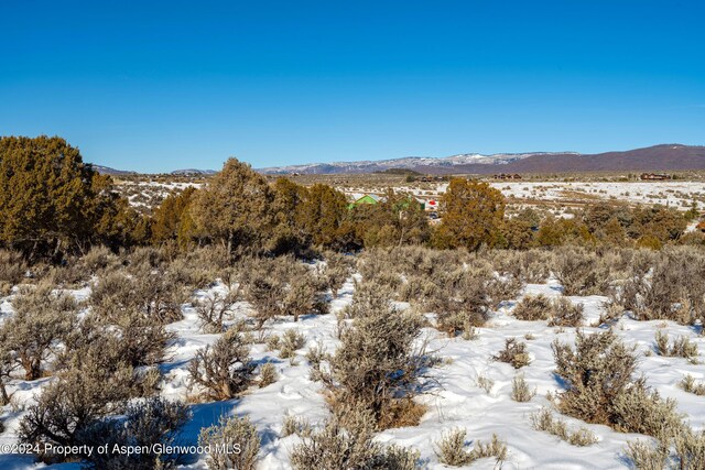 125 Primrose Pt, Glenwood Springs, CO 81601 - photo 25