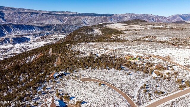 125 Primrose Pt, Glenwood Springs, CO 81601 - photo 30