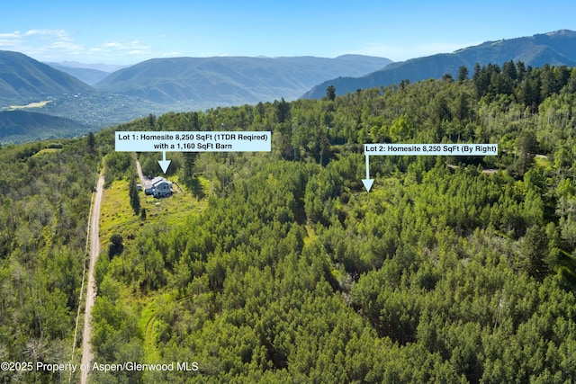 mountain view featuring a wooded view