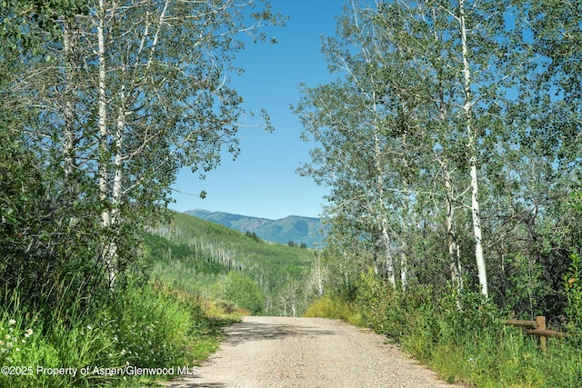 view of road with a mountain view