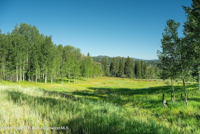 view of nature featuring a forest view, a mountain view, and a rural view