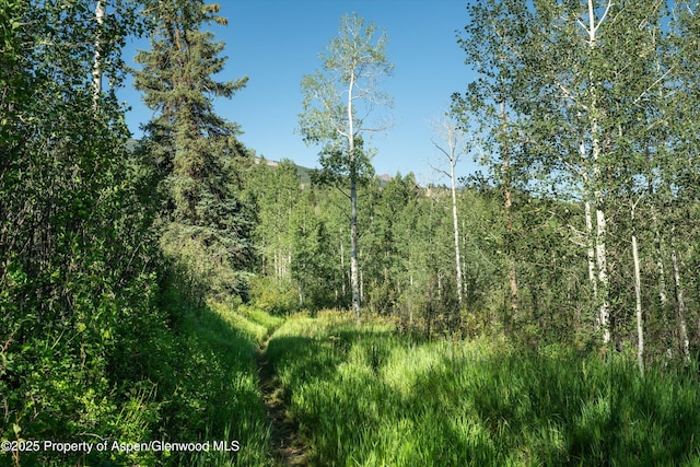 view of landscape with a view of trees