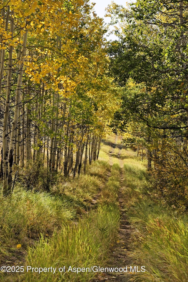 view of nature