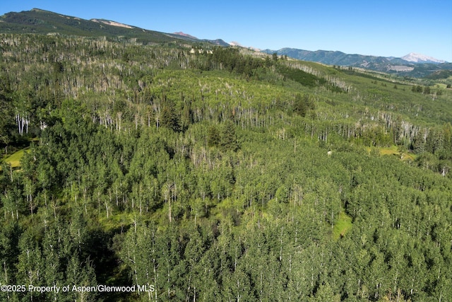 mountain view with a view of trees