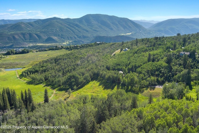 view of mountain feature featuring a view of trees