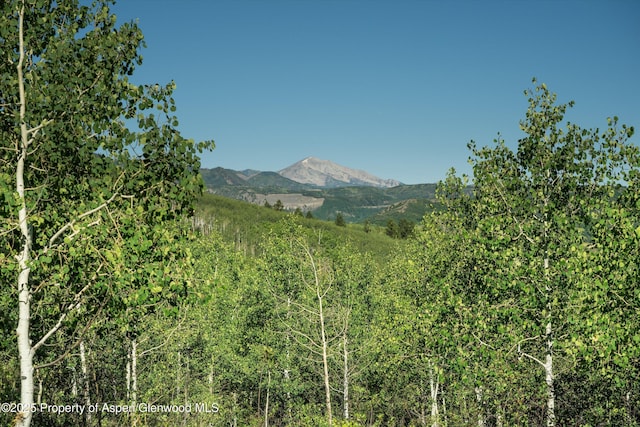 mountain view