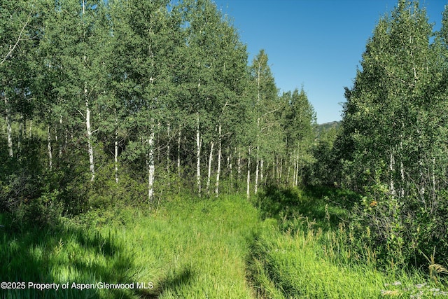 view of nature with a view of trees