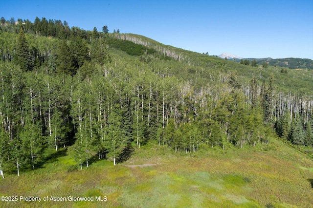 view of nature featuring a wooded view and a mountain view