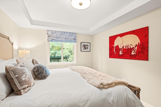 650 S Monarch St Unit 10, Aspen, CO 81612 - bedroom with a tray ceiling