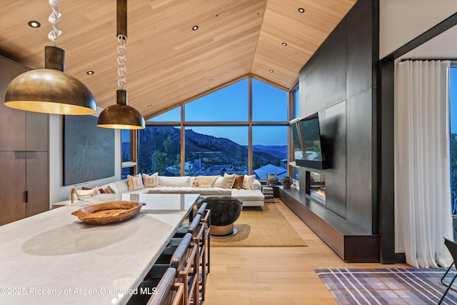 411 Wood Rd Unit 10, Snowmass Village, CO 81615 - living room featuring light wood-style flooring, wood ceiling, and lofted ceiling