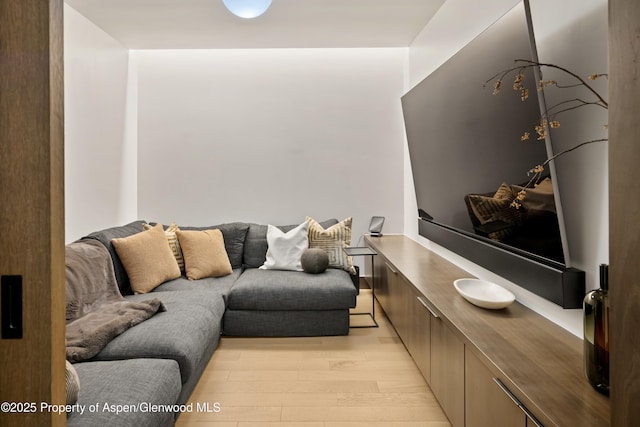 411 Wood Rd Unit 10, Snowmass Village, CO 81615 - living area featuring light wood finished floors