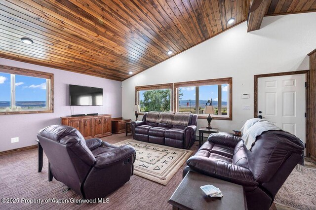 6800 Reeder Mesa Rd, Whitewater, CO 81527 - photo 38