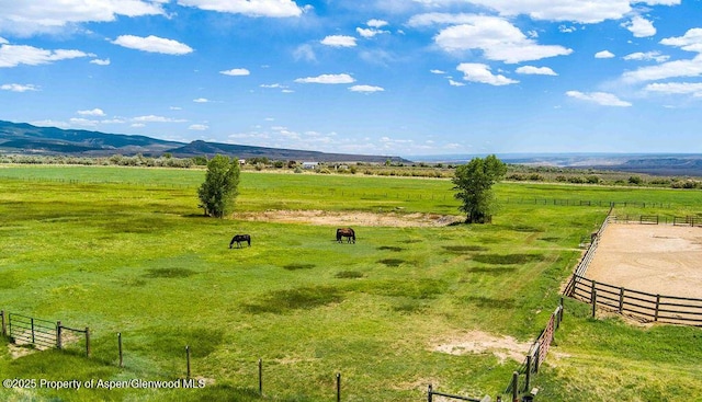 6800 Reeder Mesa Rd, Whitewater, CO 81527 - photo 9