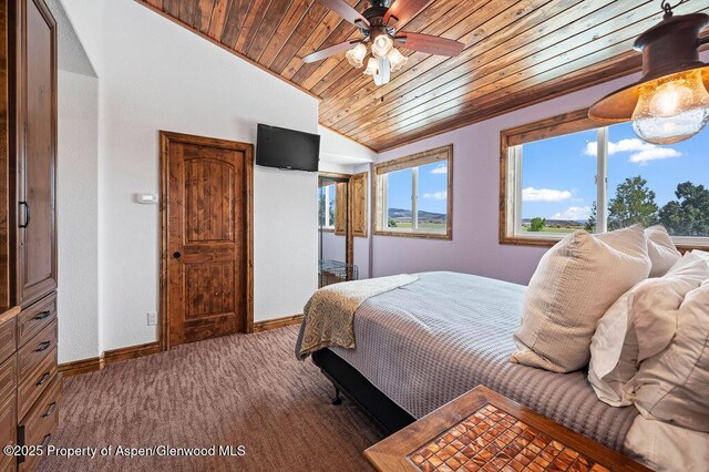 6800 Reeder Mesa Rd, Whitewater, CO 81527 - photo 41