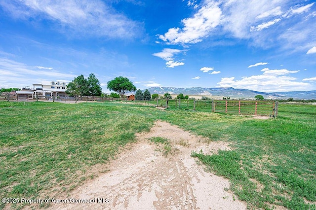 6800 Reeder Mesa Rd, Whitewater, CO 81527 - photo 66